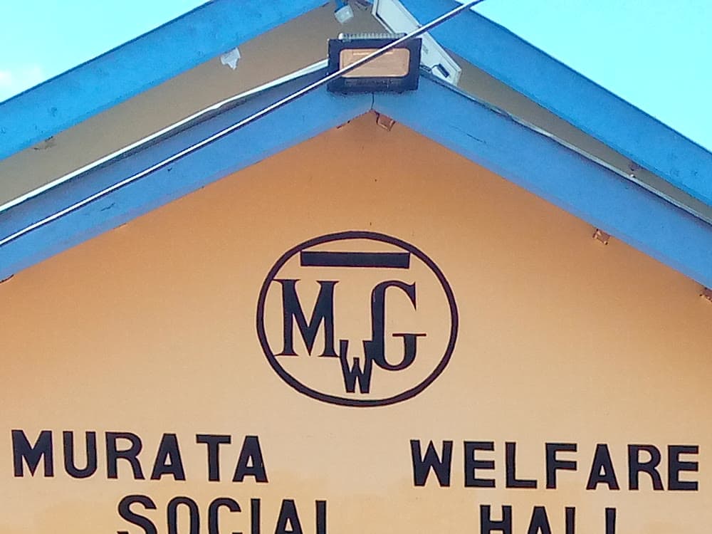 Floodlight mounted over the hall entrance, above the MWG roundel